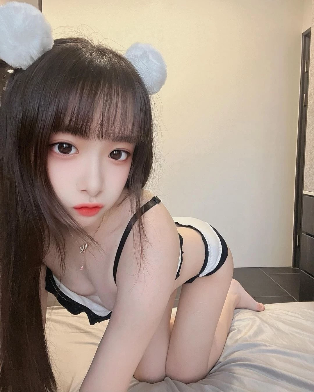31261791.webp