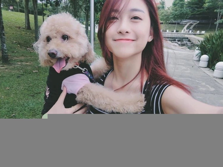 16890323.webp