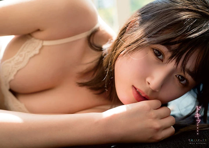 1775411.webp