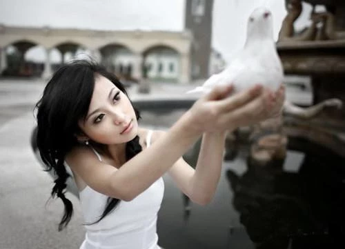 182323l35f5q76v555565q.webp