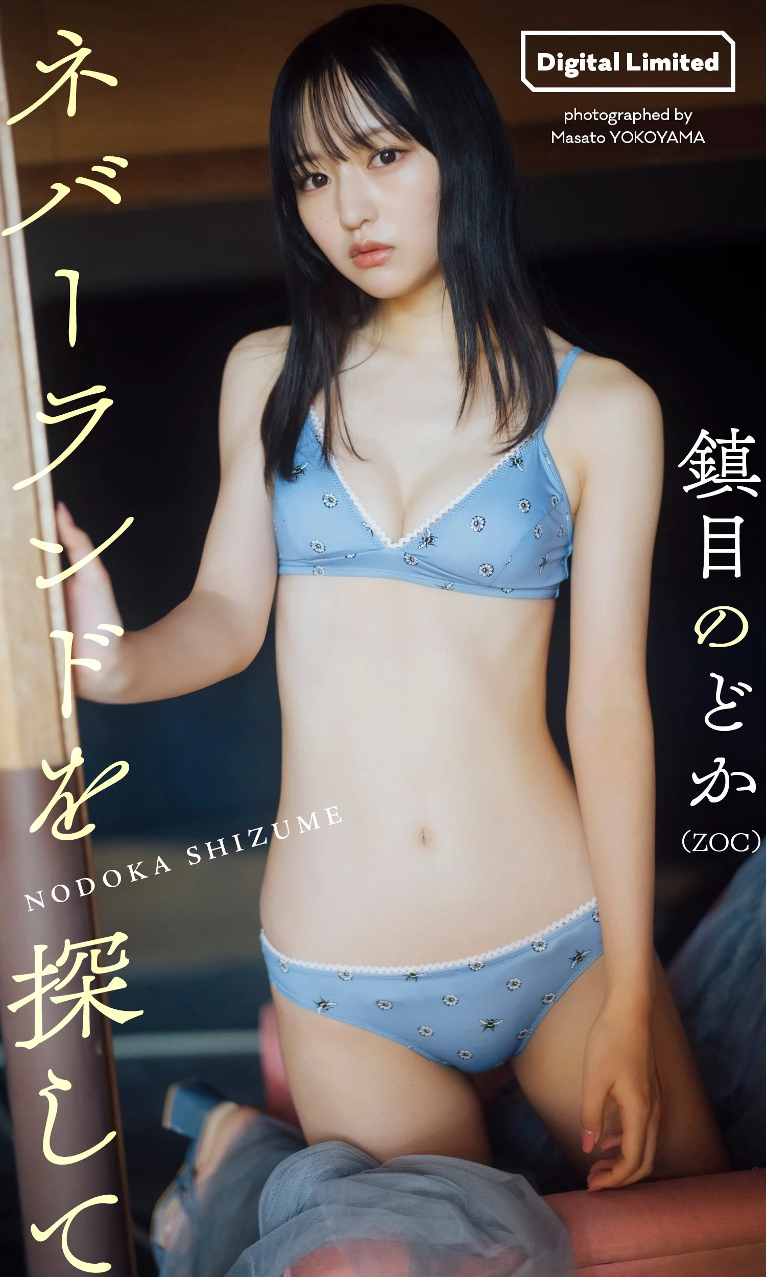 31259573.webp