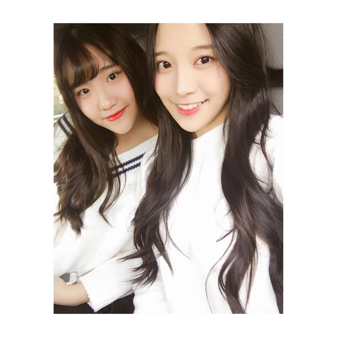 16798618.webp