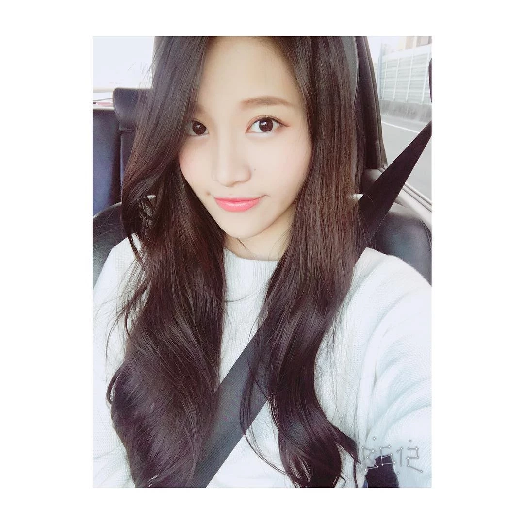 16798619.webp