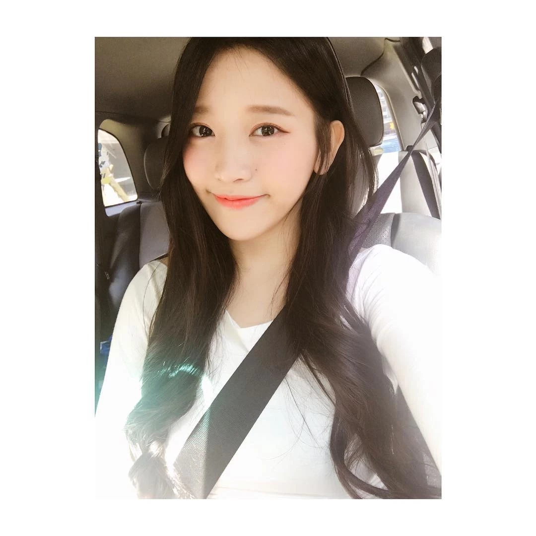 16798624.webp