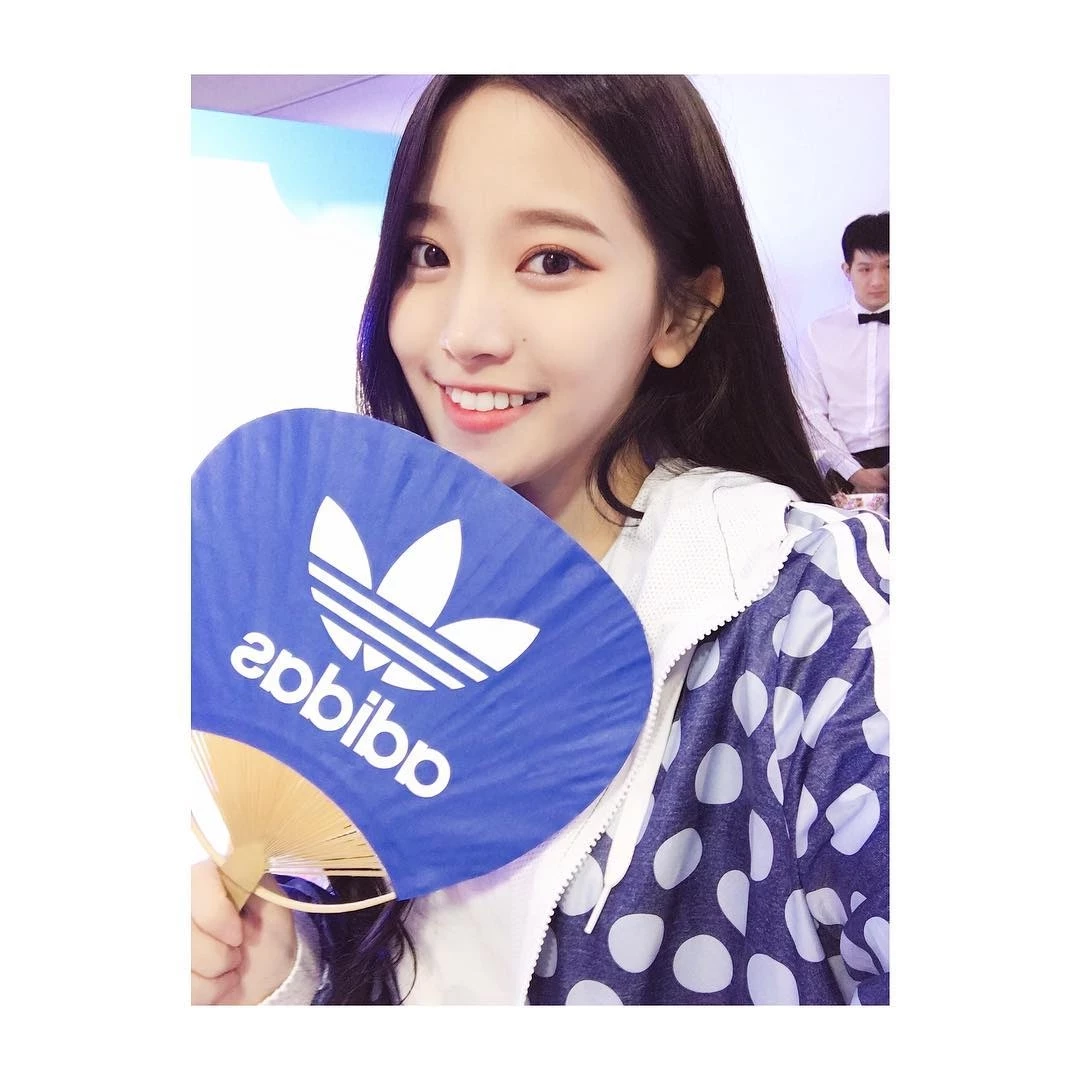 16798627.webp