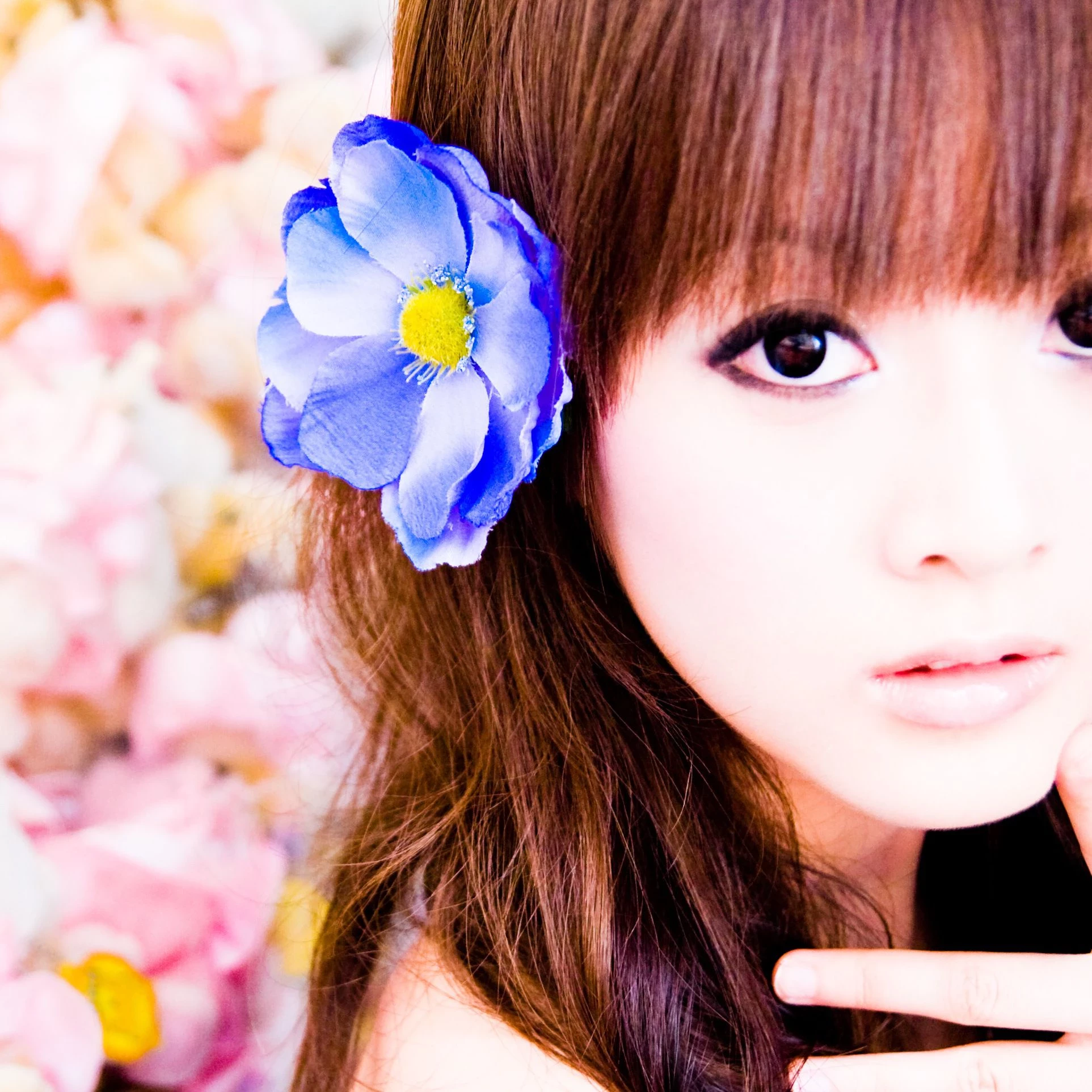 30703387.webp