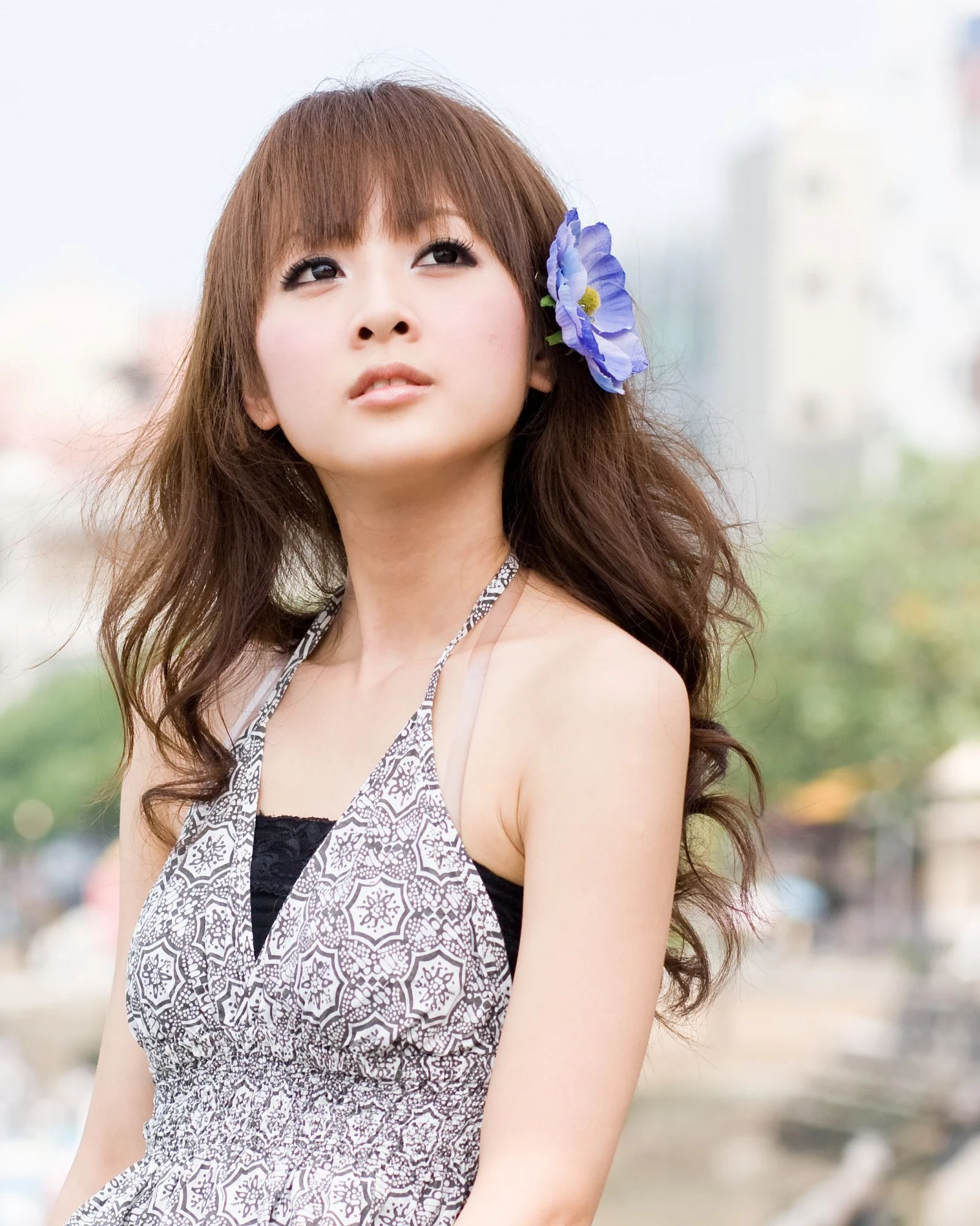 30703415.webp
