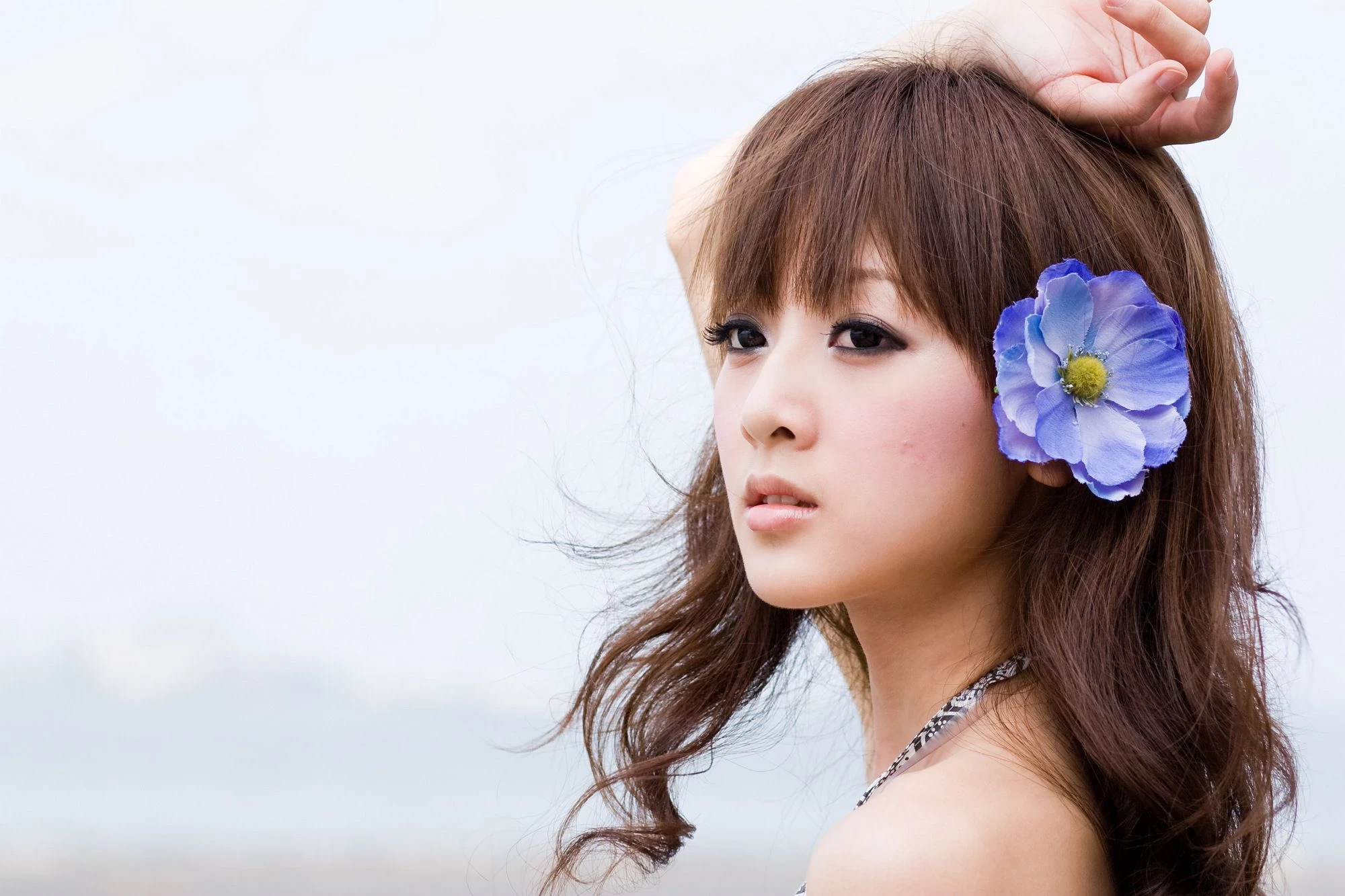 30703417.webp
