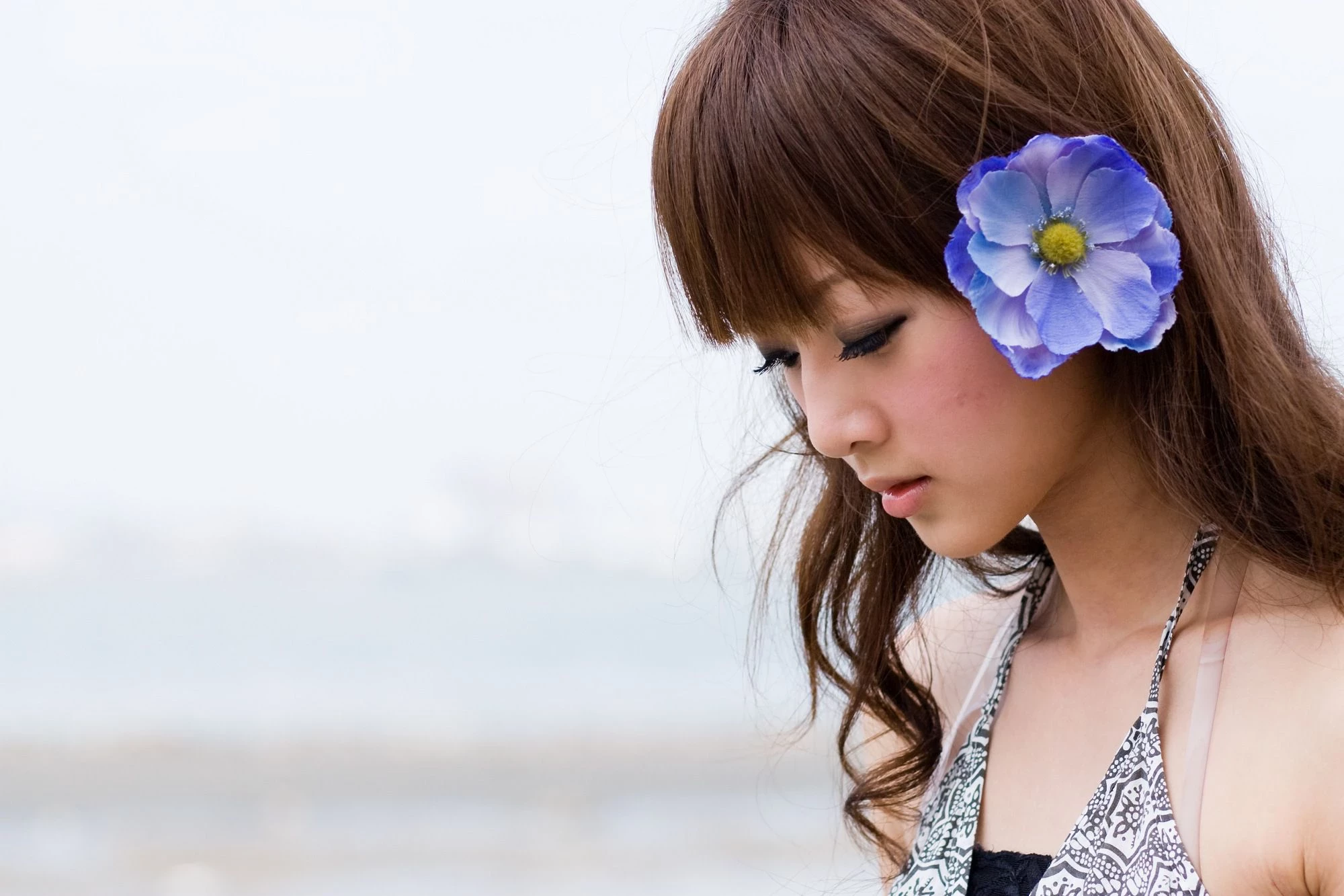 30703419.webp