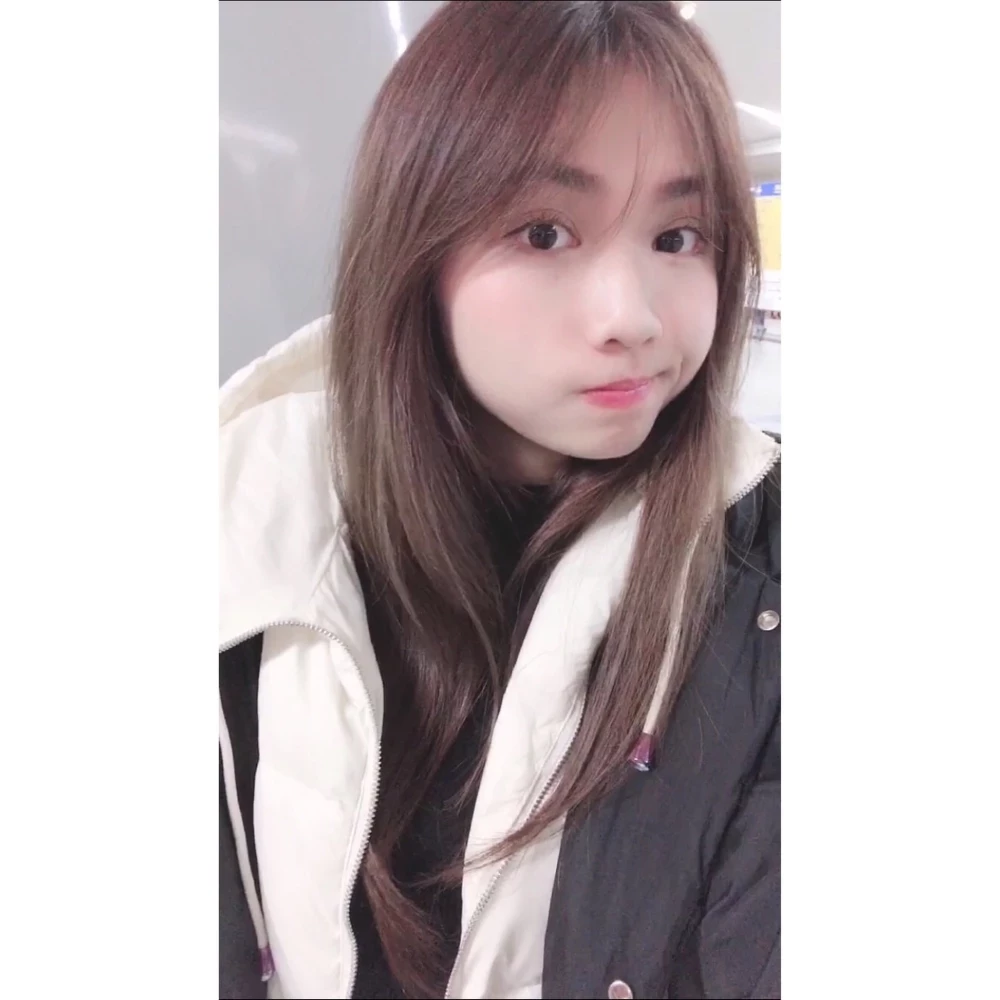 4323065.webp
