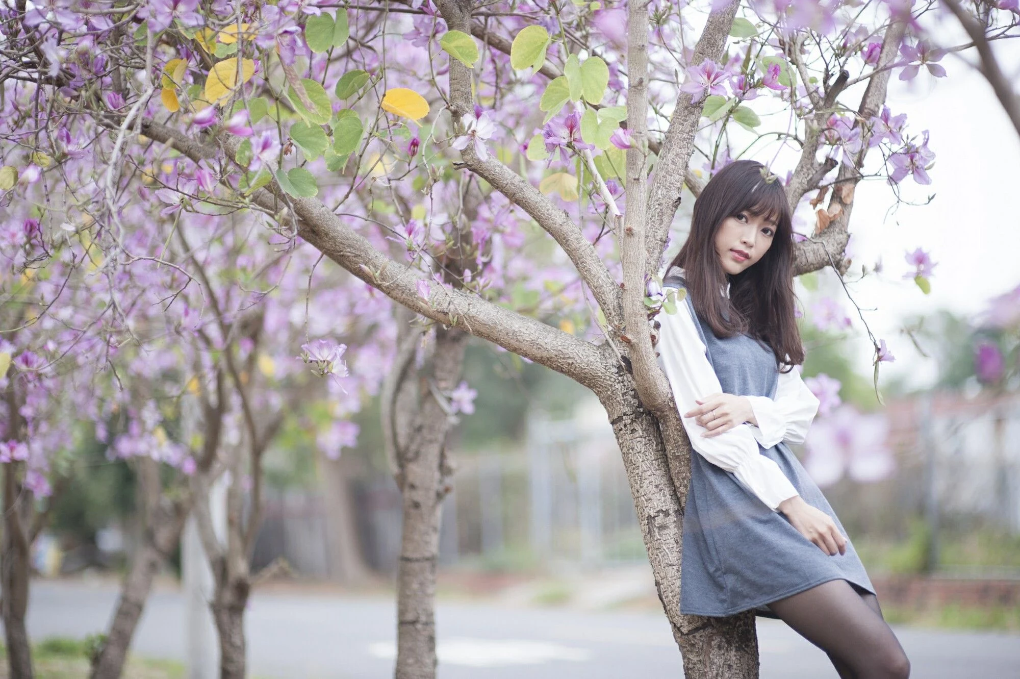 152918giddw9cc1v99c93b.webp