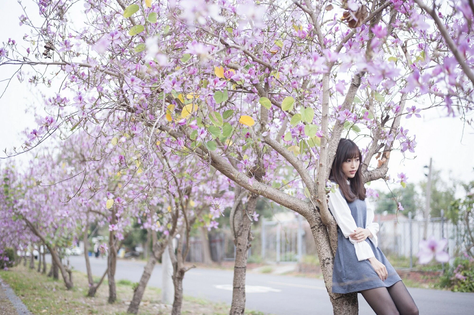 152932t0cchv4h4v06qu01.webp