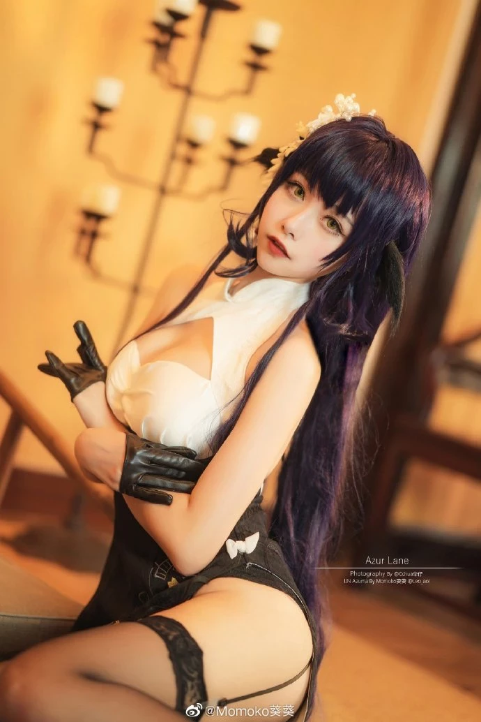 111611pq6wa5gslfsrwhfp.webp