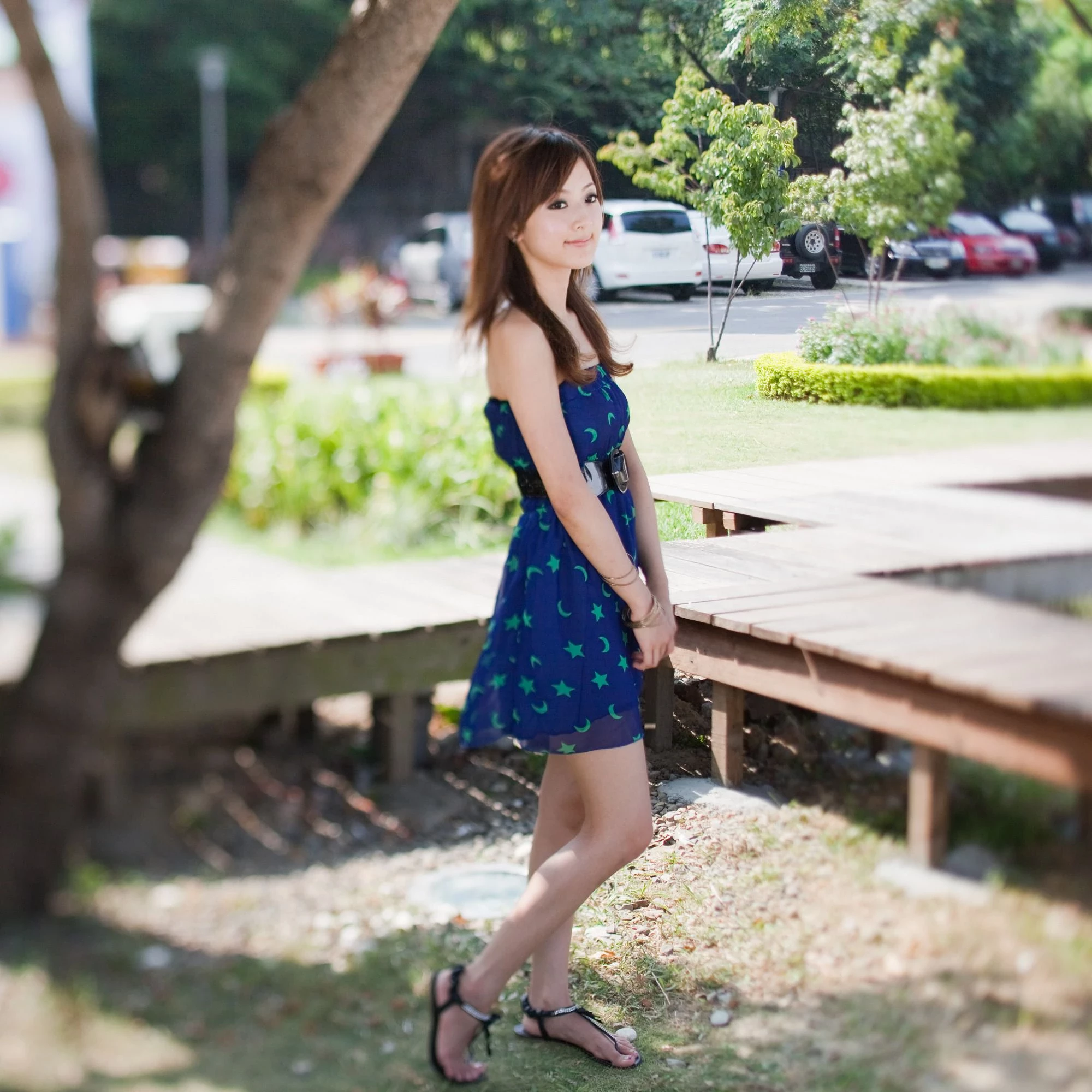 30715207.webp