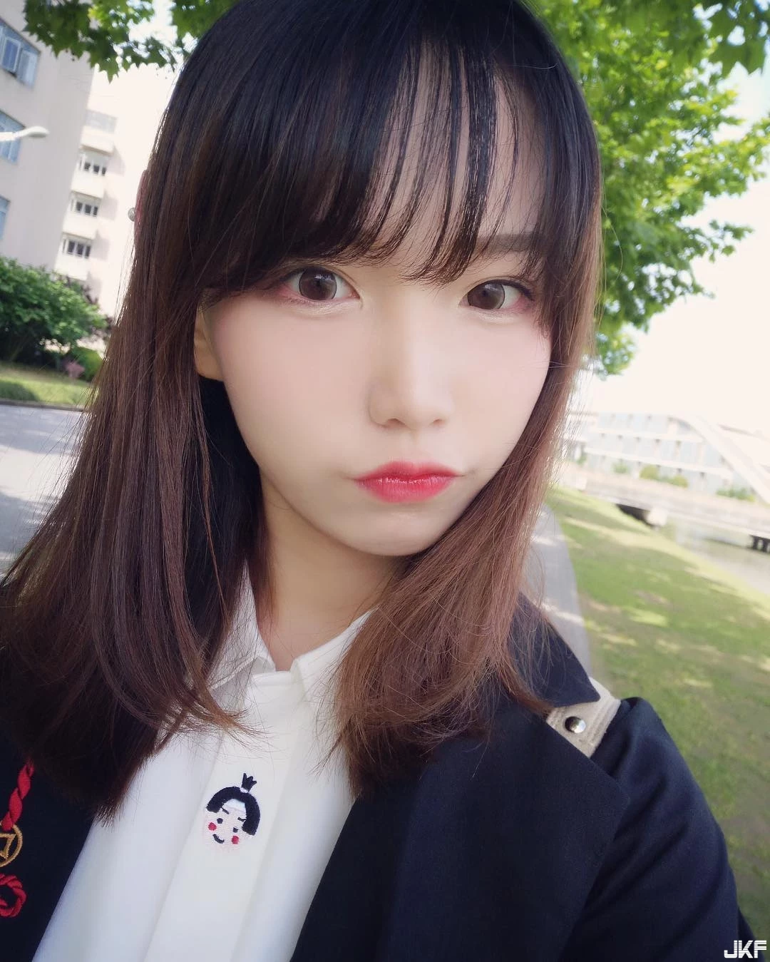 16890395.webp
