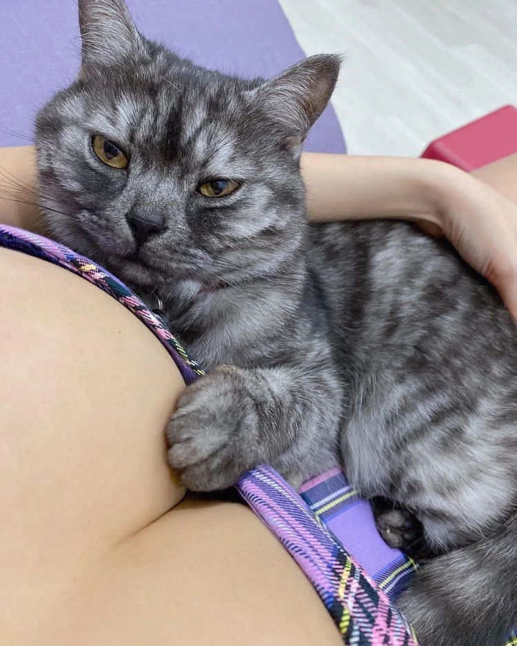 105440mg5gszksdekgndgf.webp