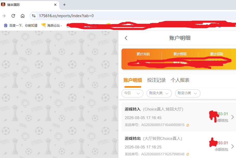 瑞丰国际资金图.png